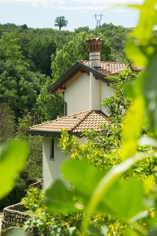 Turisticna Kmetija Stanfel Villa Podsabotin Exterior photo